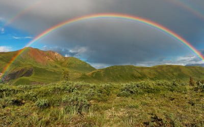 Rainbow Wanderer