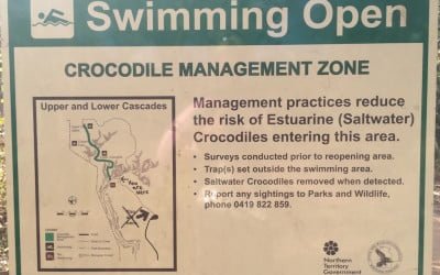 What Is Synchronised Drowning?
