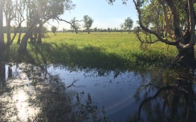 Kakadu: Boating With Sharks, Crocodiles and Wisdom
