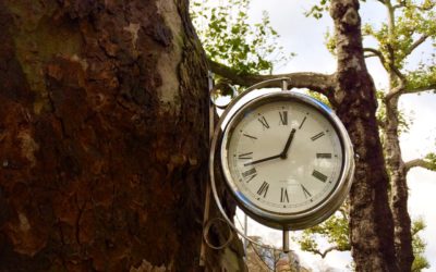 A Witching We Will Go: Time To Celebrate A New Novel