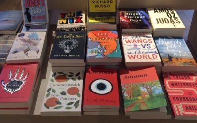 Loreless Revisited: A Debut Novel One Year On